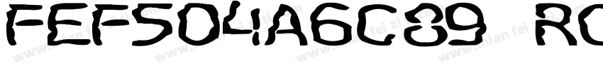 FEF504A6C89 Roman字体转换